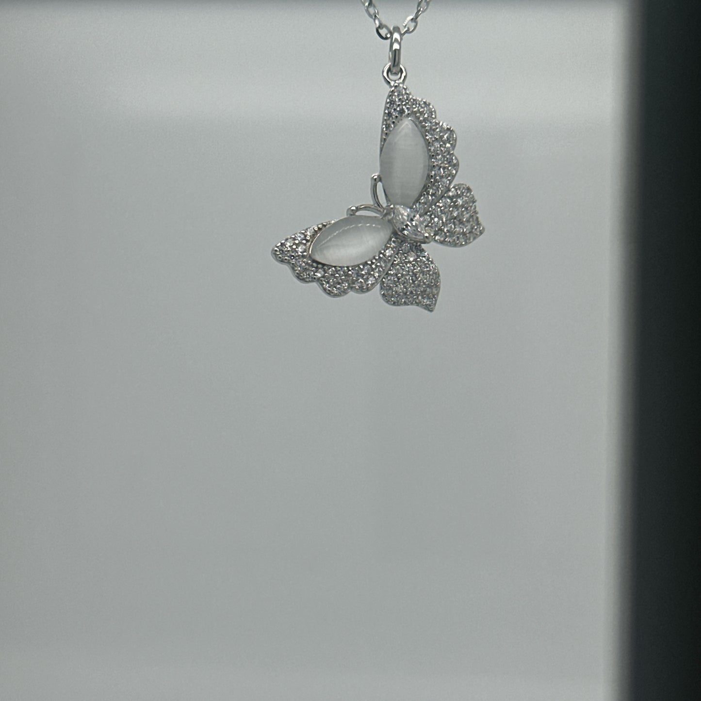 Hadab Butterfly