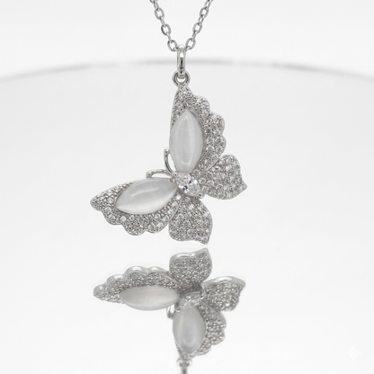 Hadab Butterfly