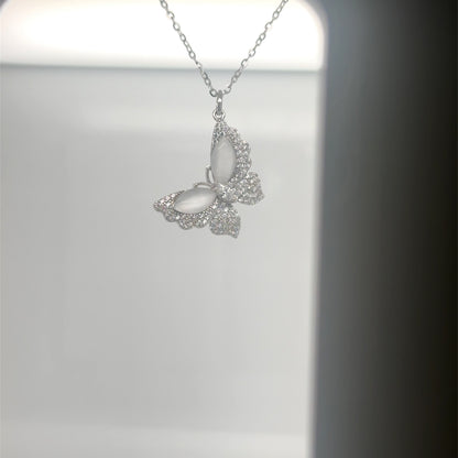 Hadab Butterfly