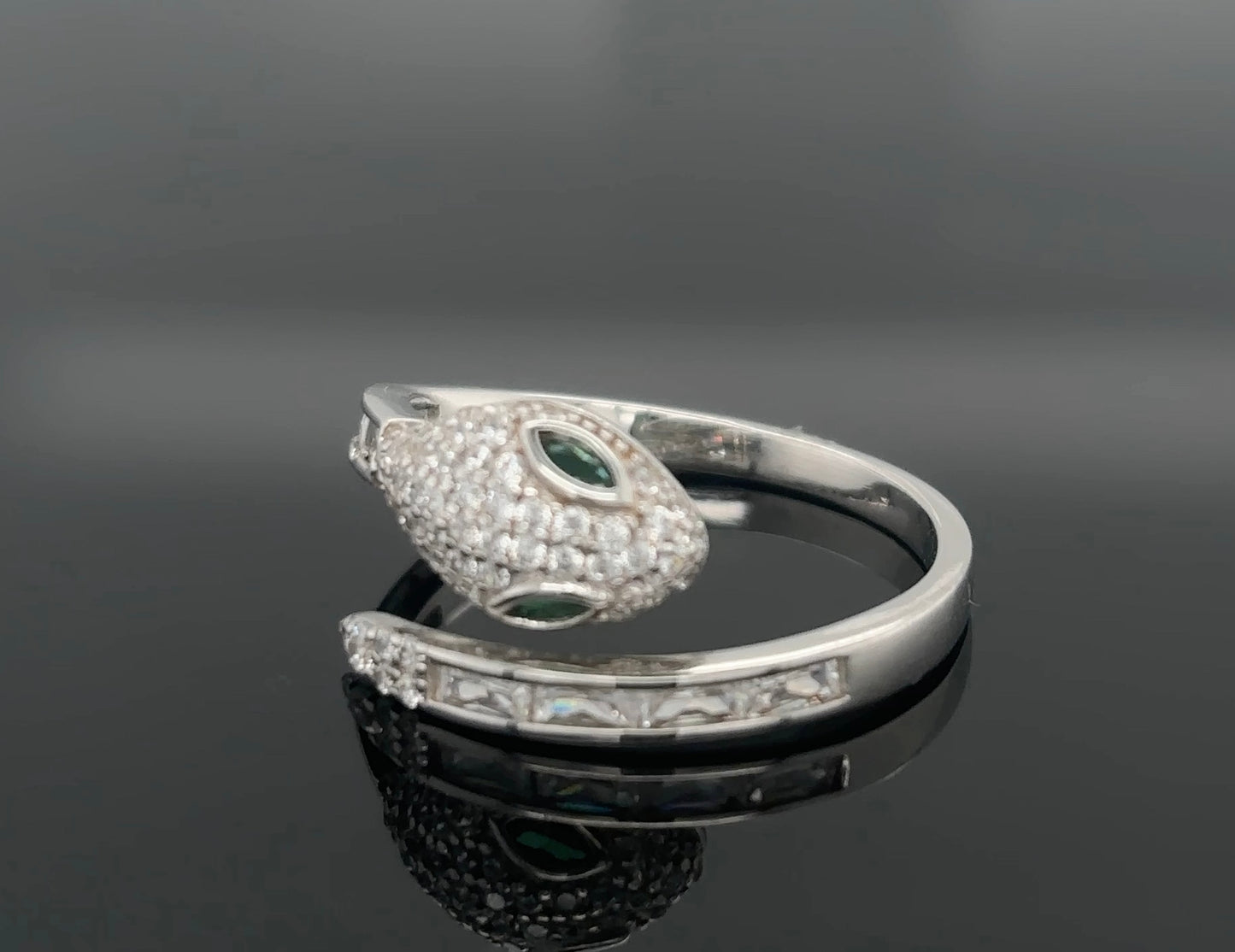 Ring Snake