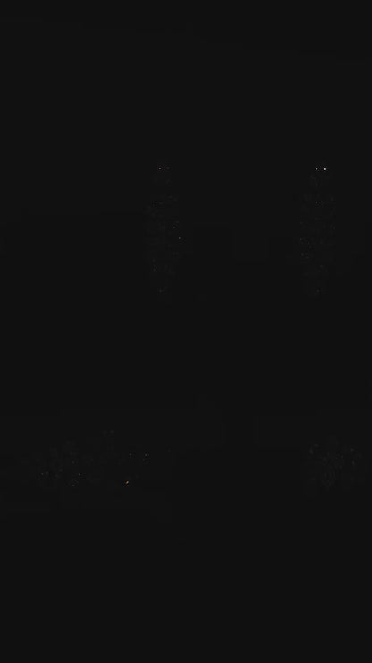 Night Royal